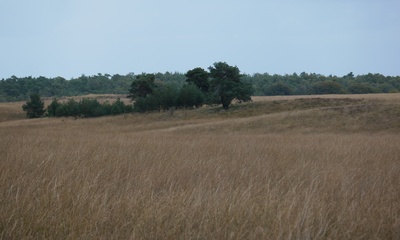 Deurenseberg