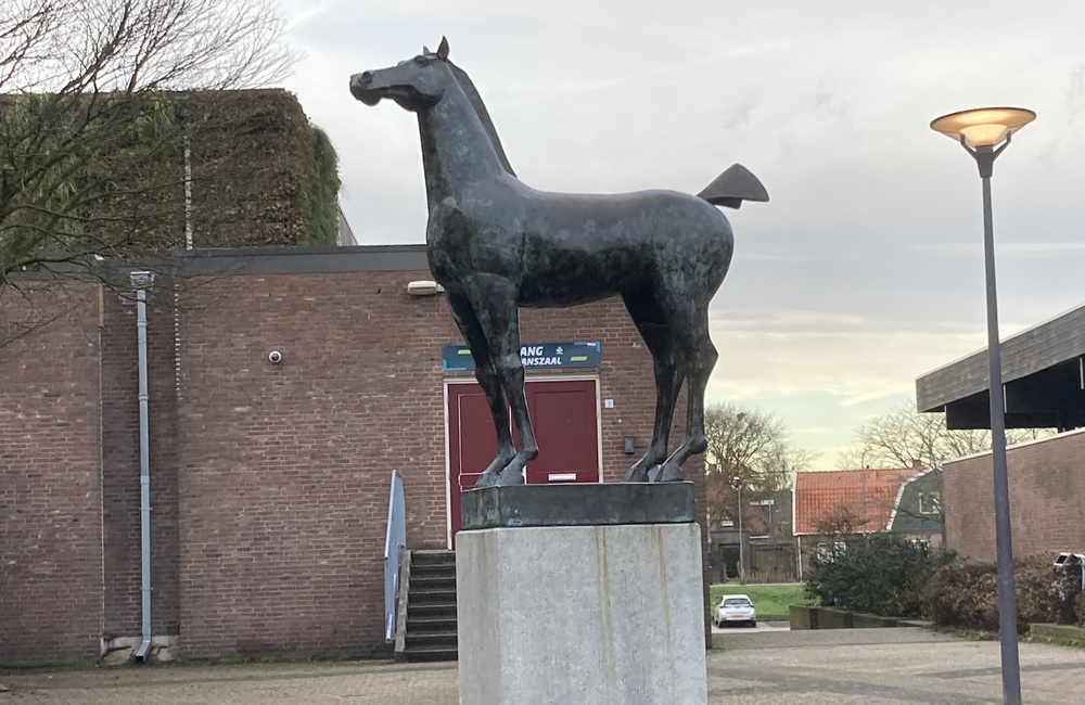 Paard