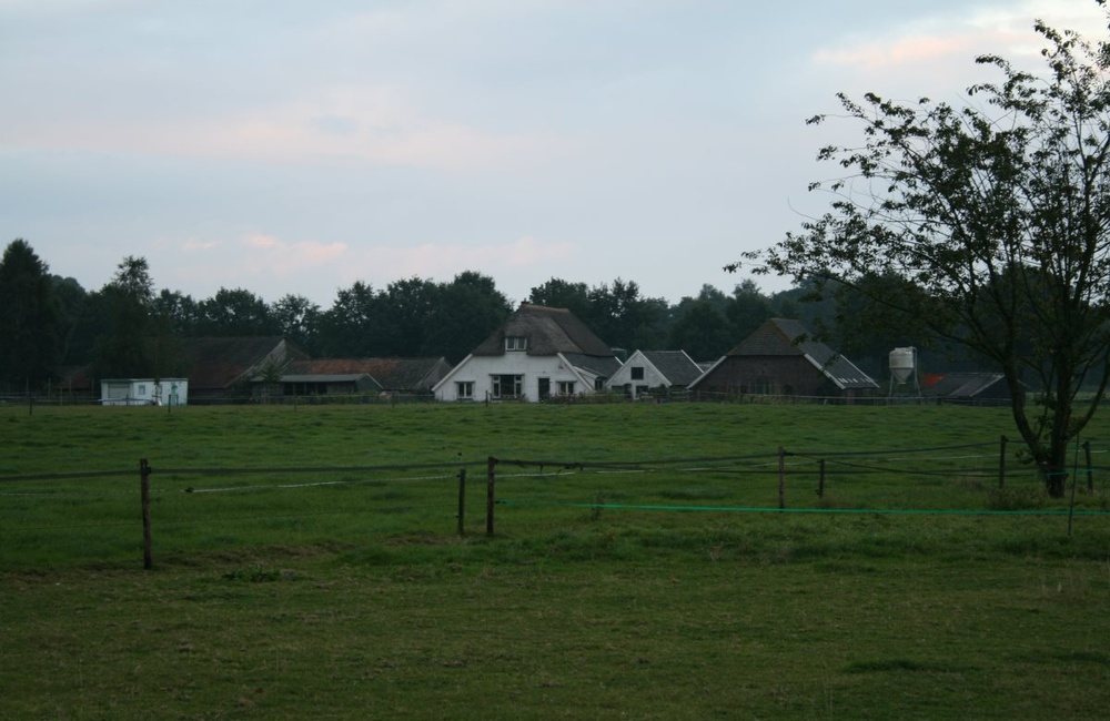 Professor Pellaan boerderij Jan Verbeek - 2015