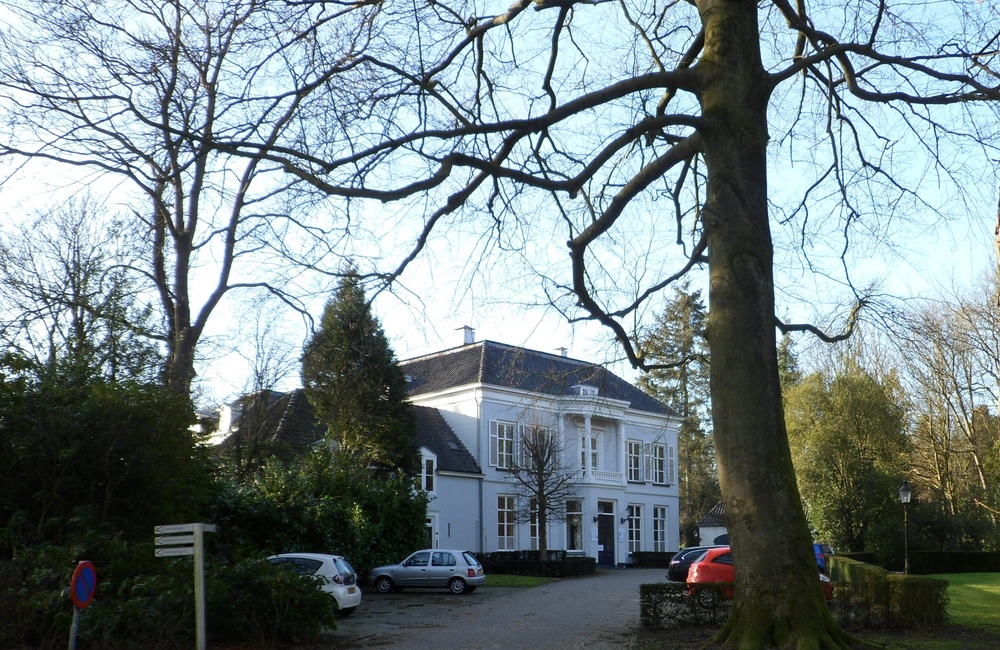 Monumentale bomen bij kliniek Klein-Rosendaal