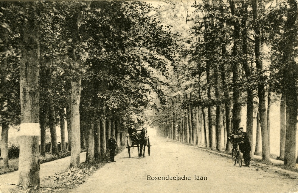 Rosendaalselaan omstreeks 1910