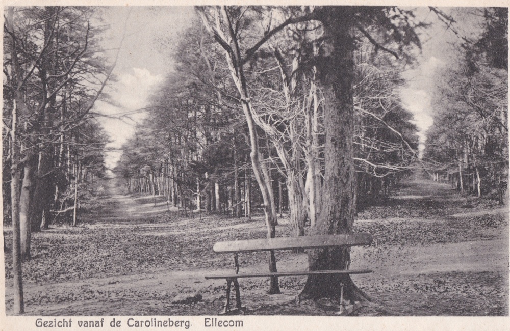 Carolinaberg - 1934