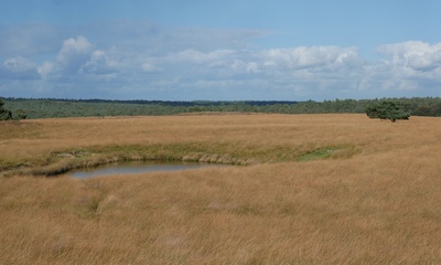 Leemkuil