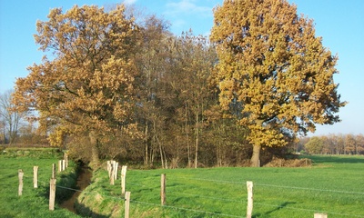 Assenbeek
