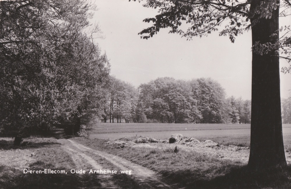 De Oude Arnhemseweg - 1961