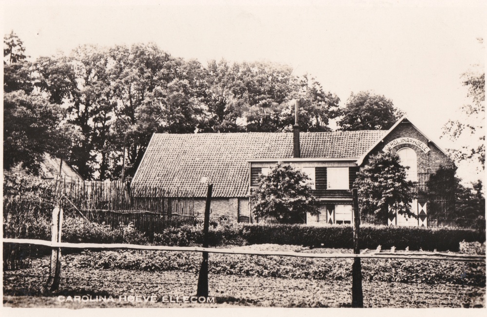 Carolinahoeve, ingekleurd - 1939