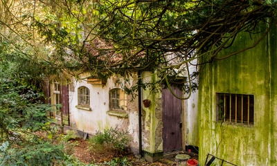 Bijgebouw