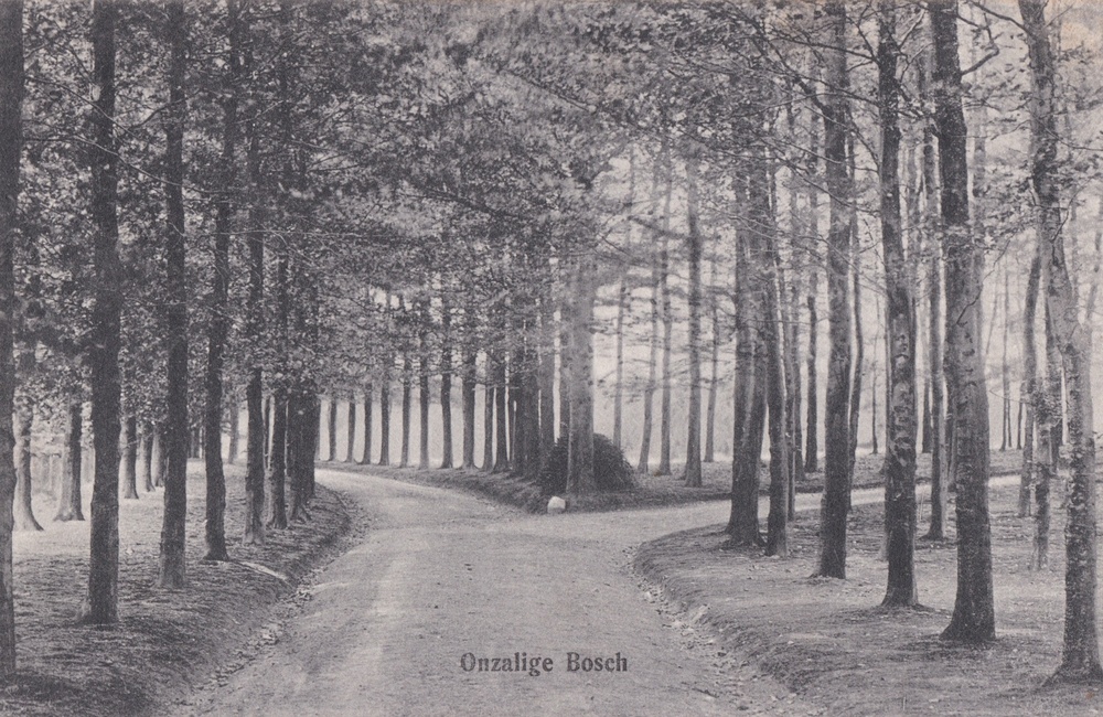 Het Onzalige Bos - 1909