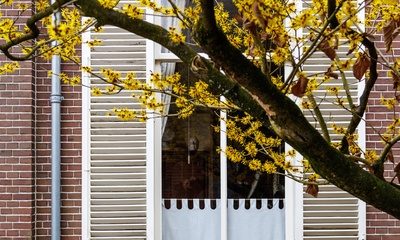 Detail rechtergevel villa