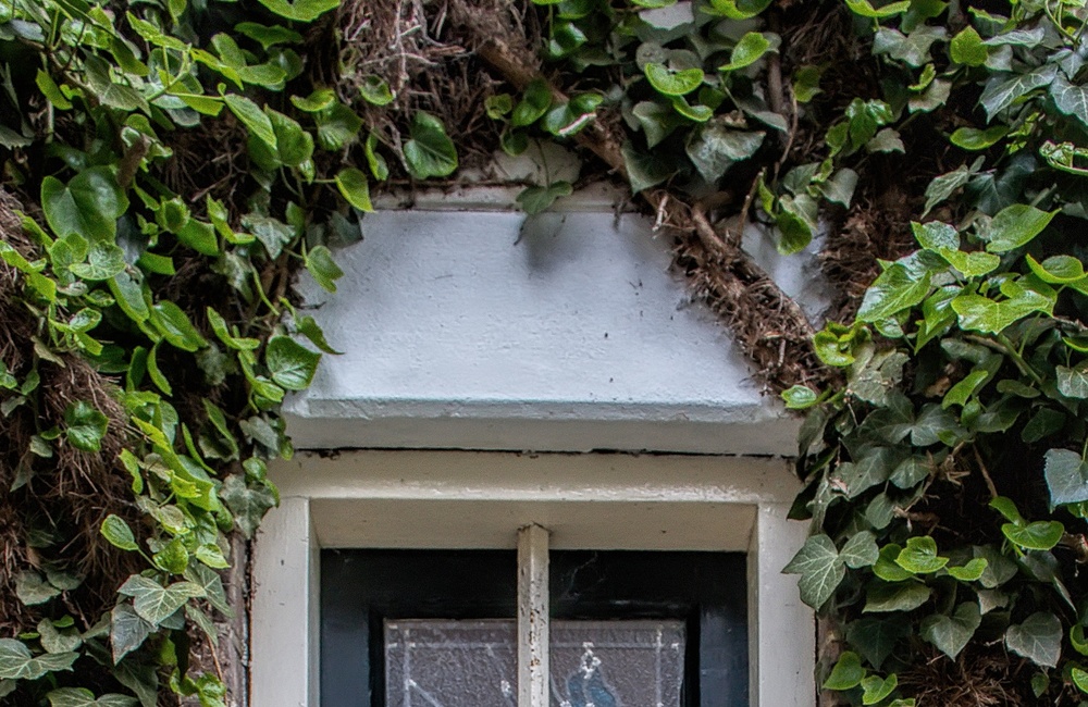 Detail raam met glas-in-lood - 2016