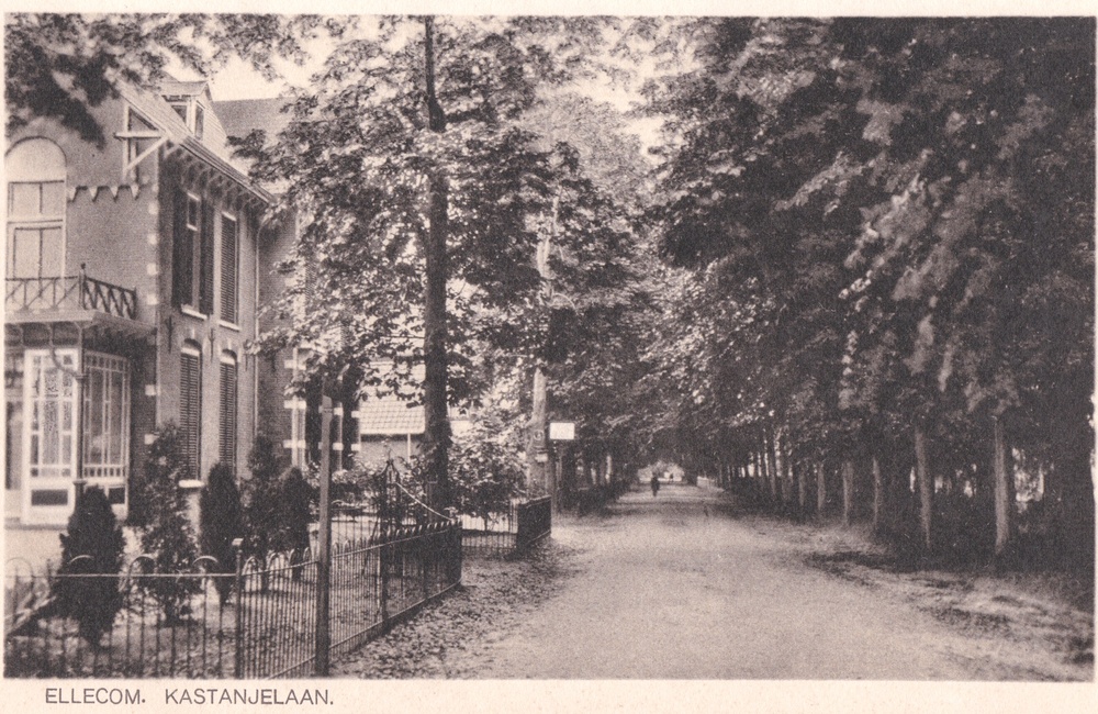 Kastanjelaan als zandweg - 1910