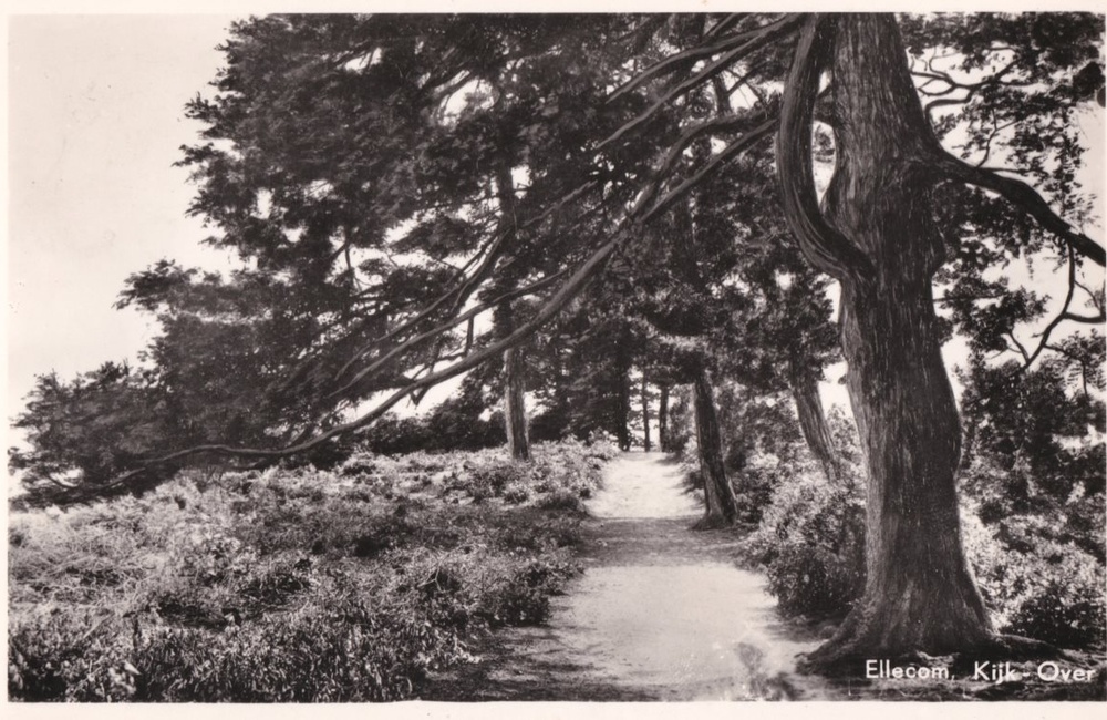 Kijkover - 1955