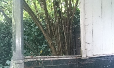 Bijgebouw