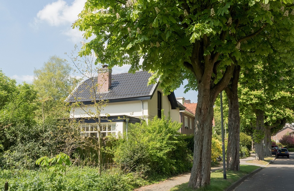 Rechter zijgevel 2016