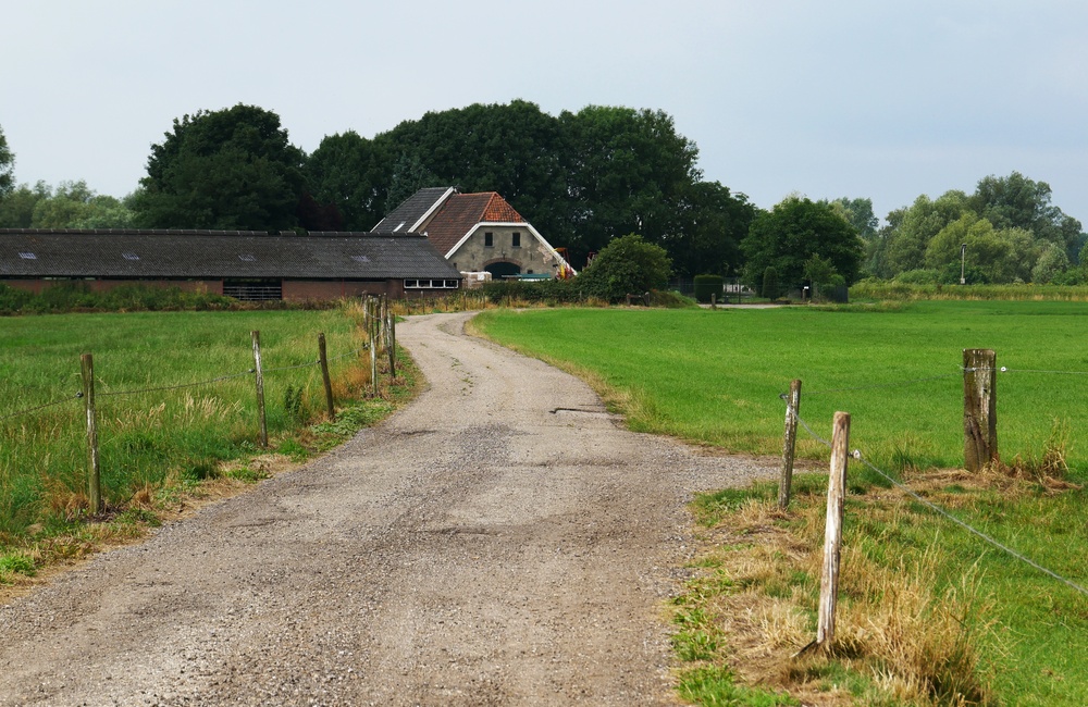 Fraterwaard - 2017