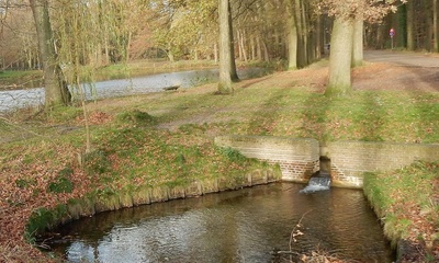 Rozendaalse Beek Velp