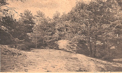 Jutberg