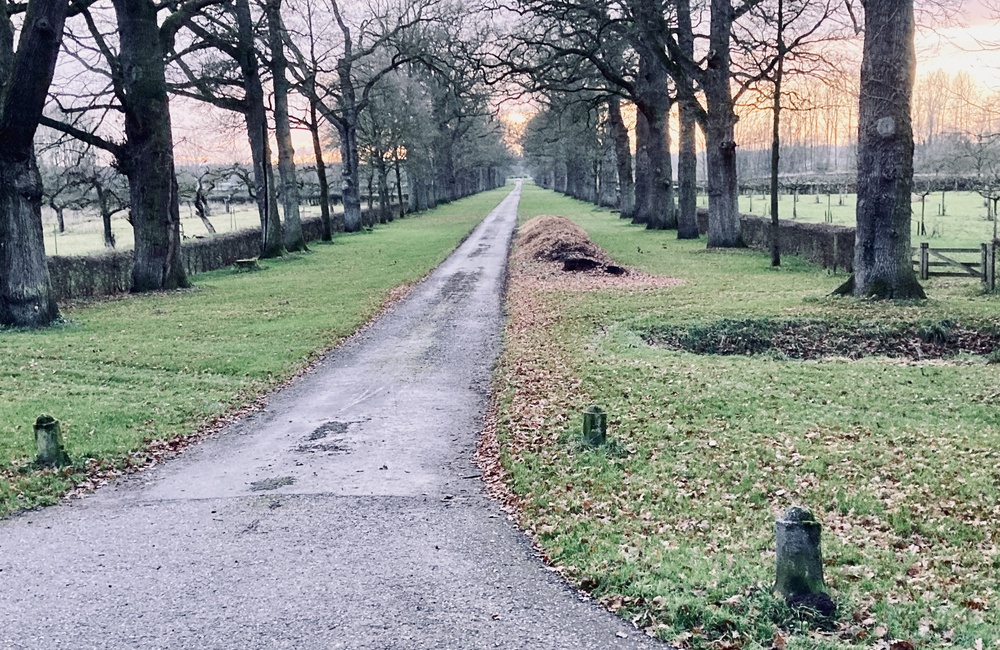Torenallee op het landgoed