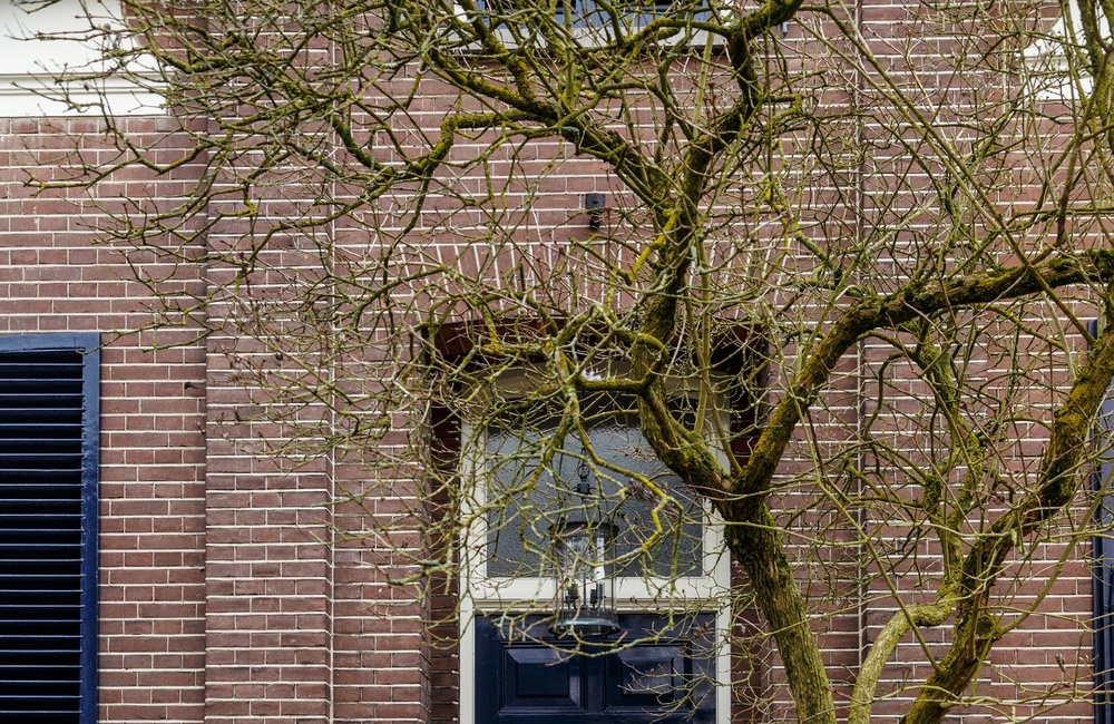 Voordeur - 2017