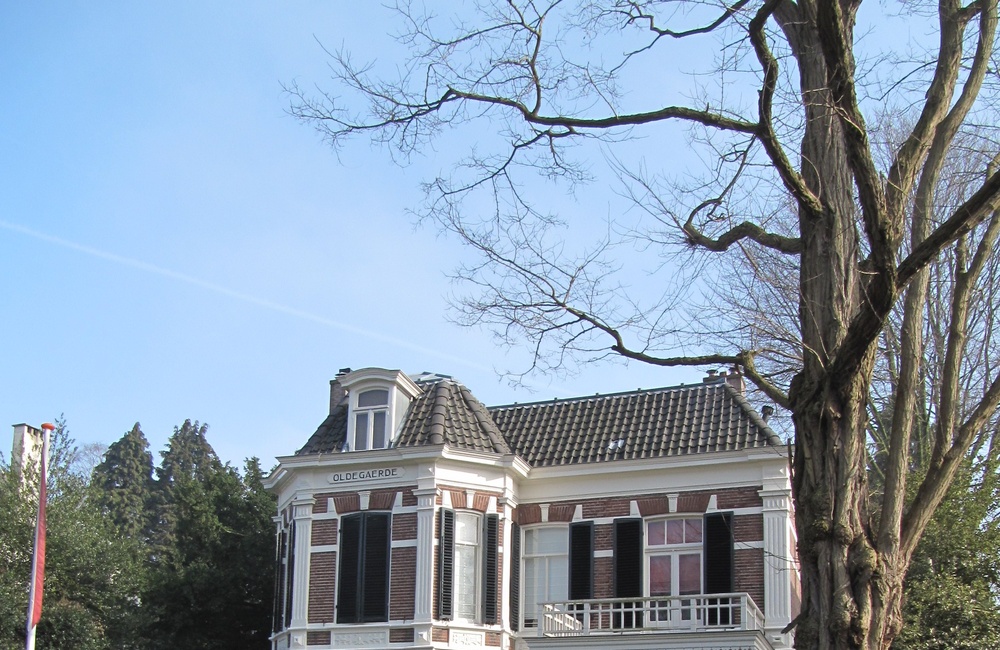 Oldegaerde, Hoflaan 36 (2011)