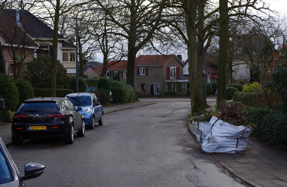 Schonenbergsingel