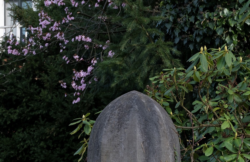 Ingang tuin- 2016