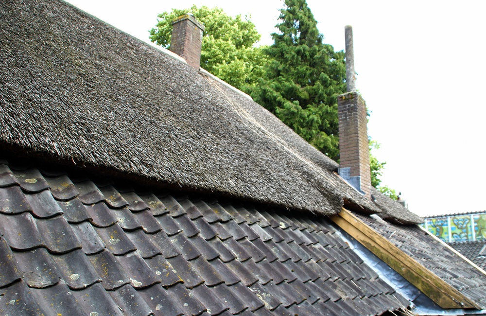 Detail dak Boerderij Groenestraat 10 - 2016