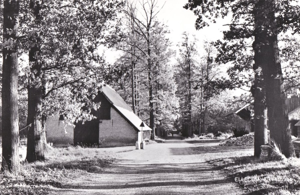 De Eikenstraat met boerderij Borgh Keppel - 1965