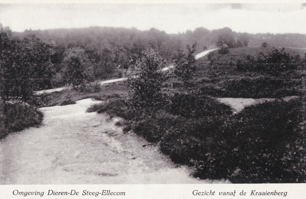 Panorama vanaf de Kraaienberg - 1941