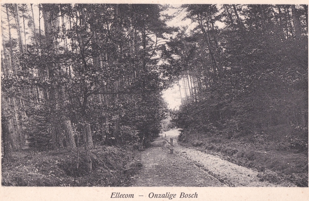 Het Onzalige Bos - 1934