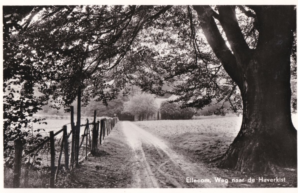 De Haverkist 1955