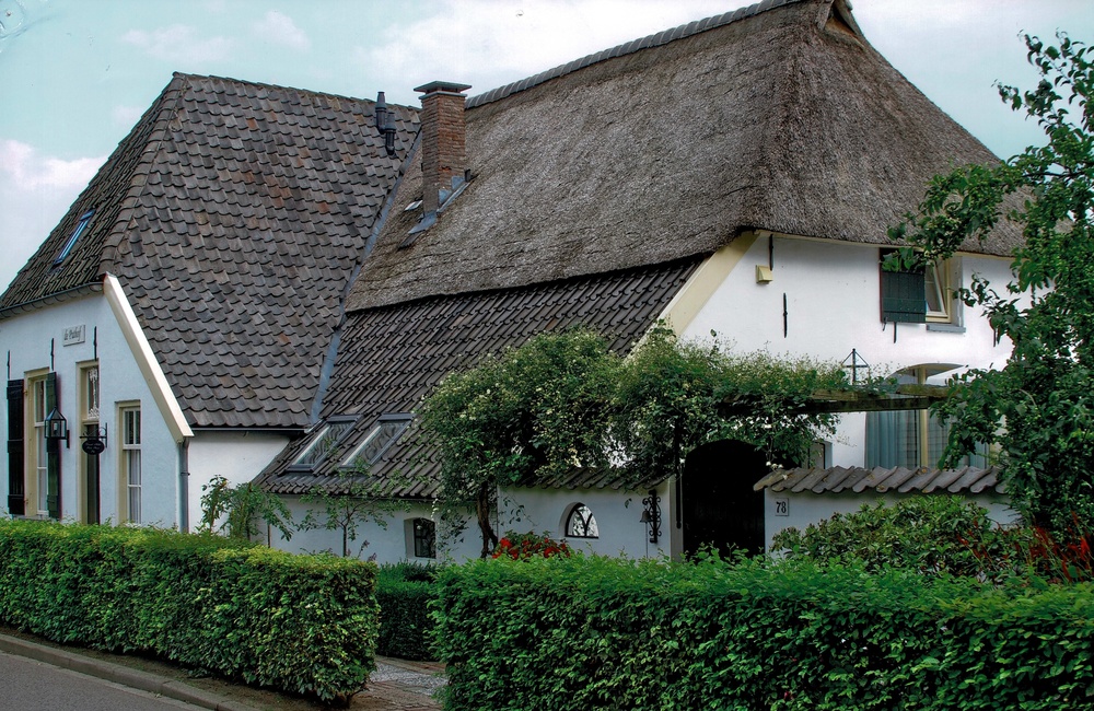 Puthof