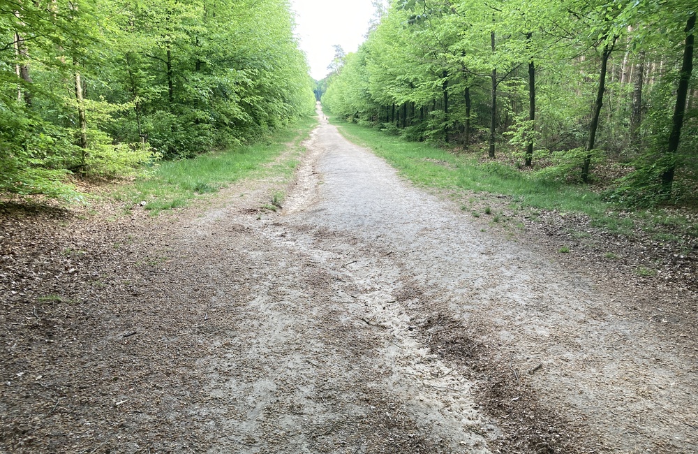 Oostlaan 5