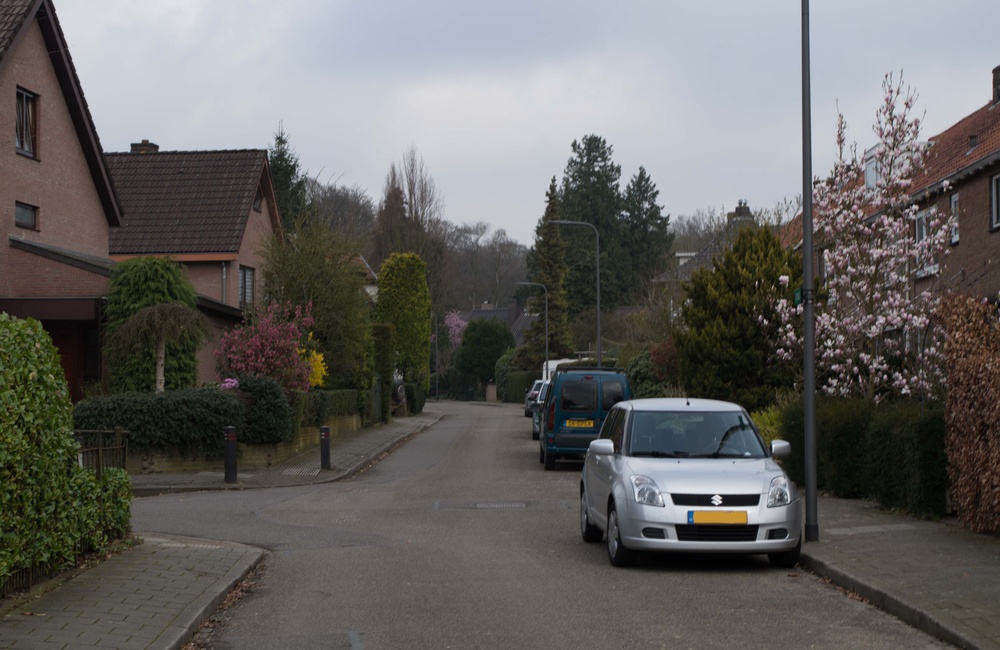 Bosweg
