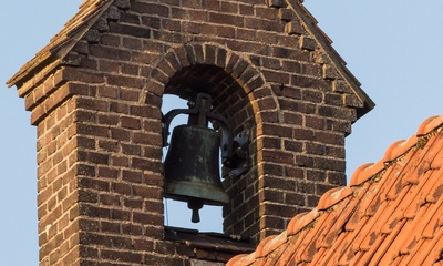 Detail dak