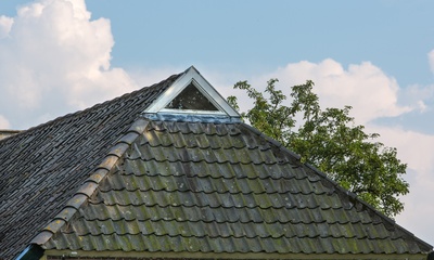 Boerderij