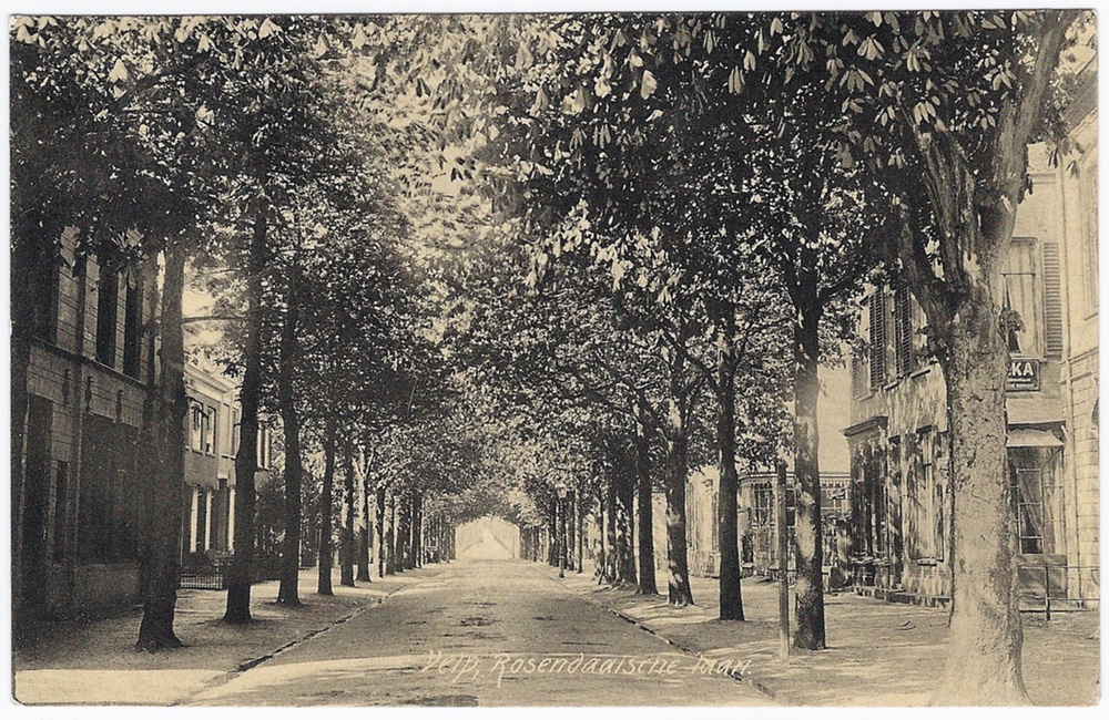 Rozendaalselaan - 1905
