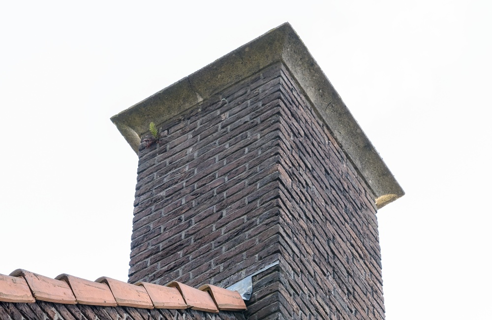 Schoorsteen 2016