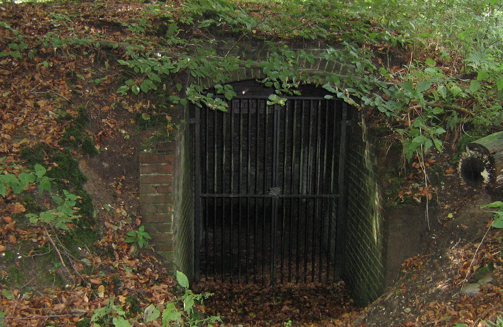 Koude kelder met traliehekwerk - 2009