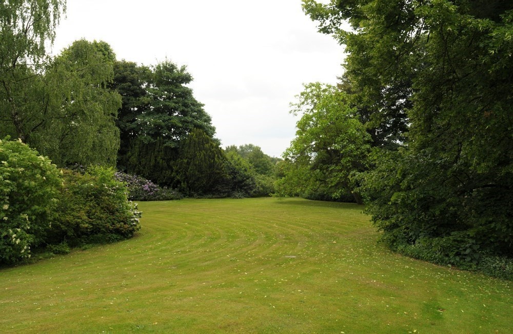 Bomen en bloeiende heesters