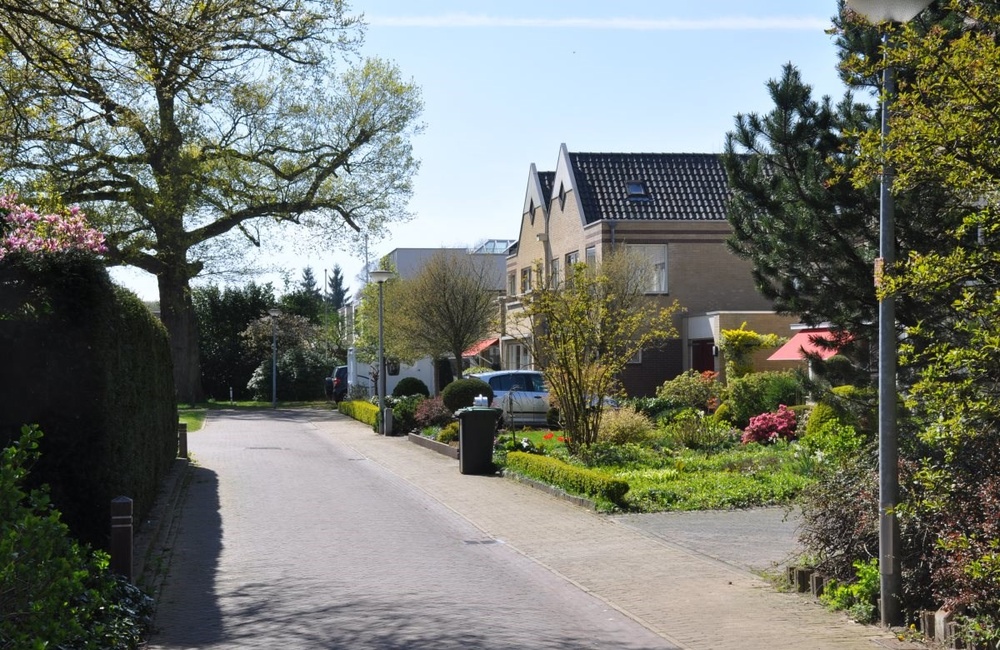Het nieuwe wijkje Ds. Bosplantsoen - 2016