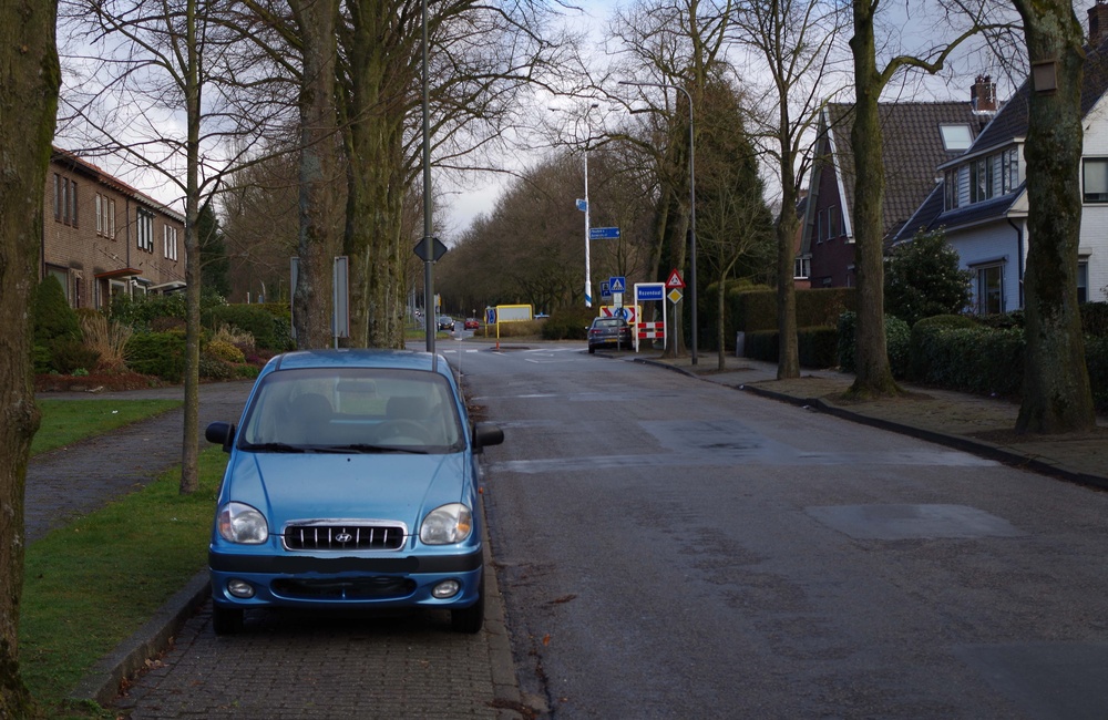 Daalhuizerweg nabij Ringallee - 2016