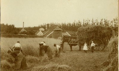 Pinkenberg