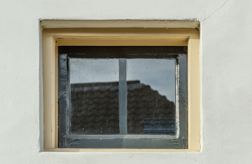 Raampje Boszicht  - 2016