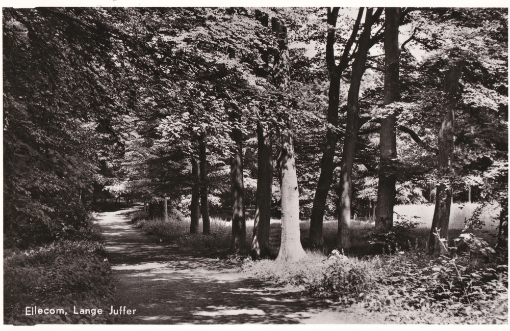 De Lange Juffer - 1956
