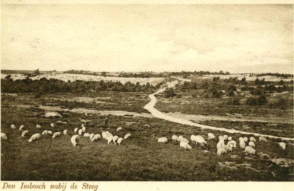 Imbosch - ca 1940