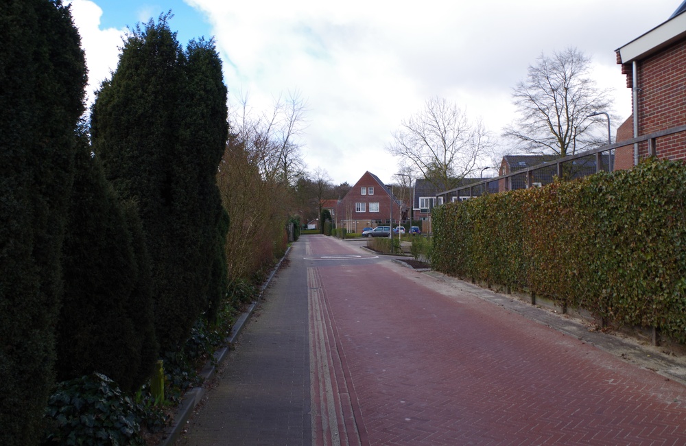 Van Pallandtstraat westzijde - 2016
