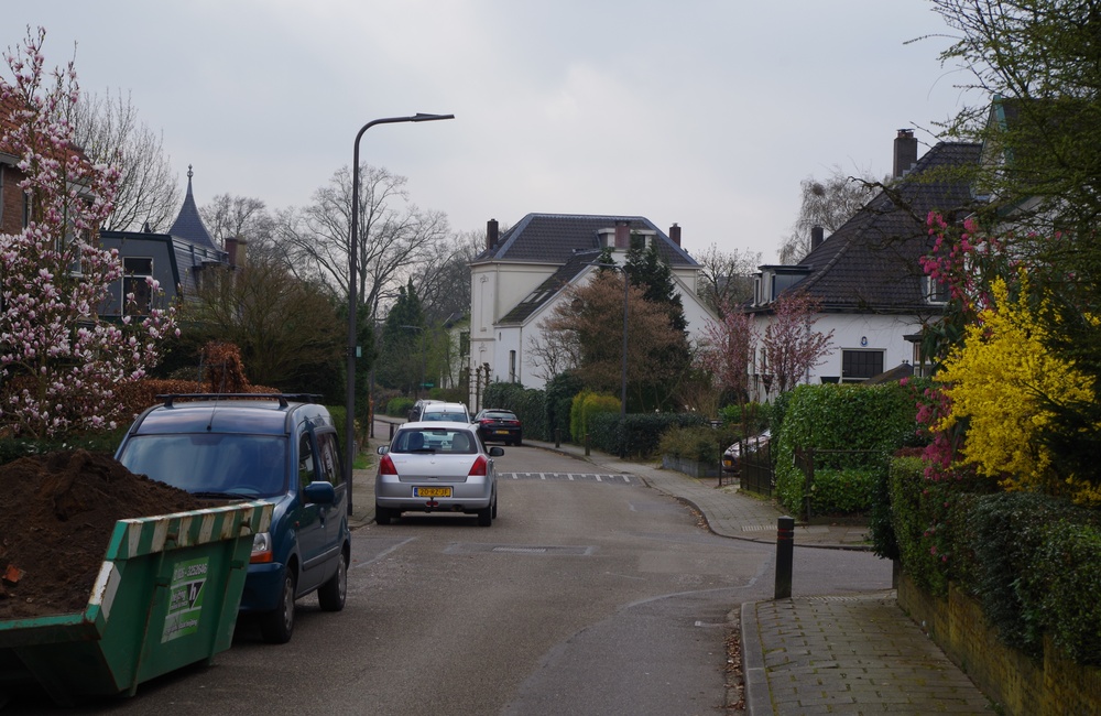 Bosweg in de richting van de vijver - 2016