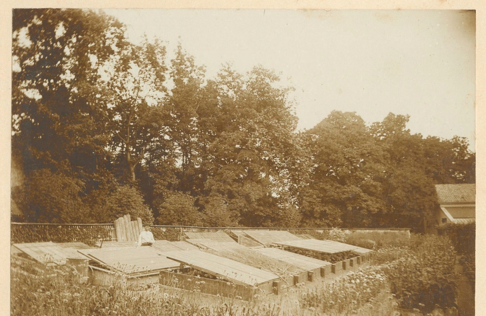 Koetshuis van Dalstein