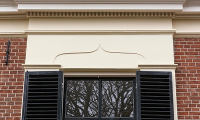Detail middenrislaliet